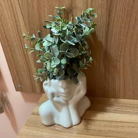 Central Pulse וארנה