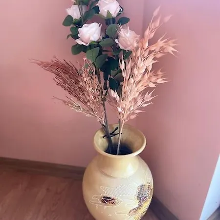 Central Pulse וארנה