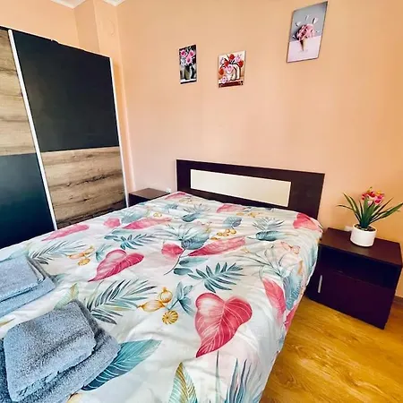 Central Pulse וארנה