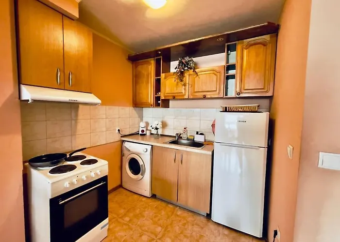 Central Pulse Apartament