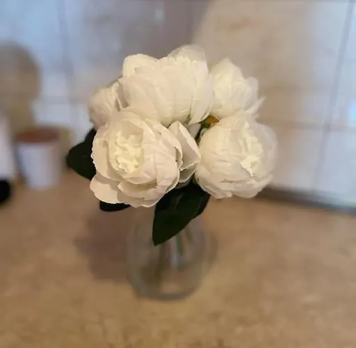 Central Pulse Apartament Warna