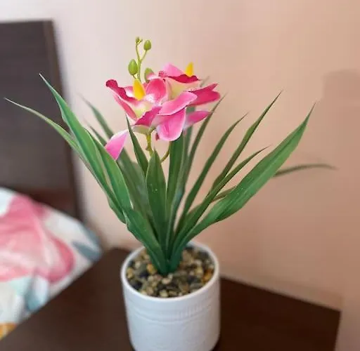 Central Pulse * Warna