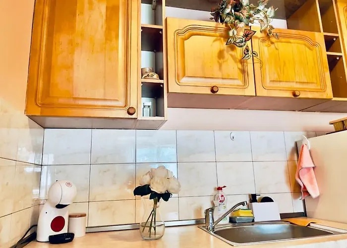 Apartament Central Pulse *